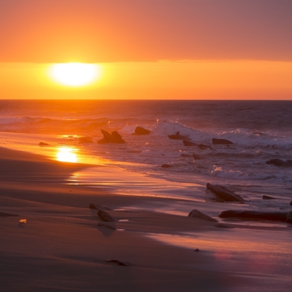 AÑO NUEVO EN PUNTA SAL