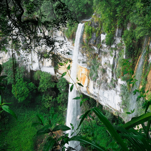 Una catarata en la selva de Chachapoyas