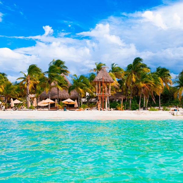 Una playa en Cancún con aguas turquezas y palmeras verdesz