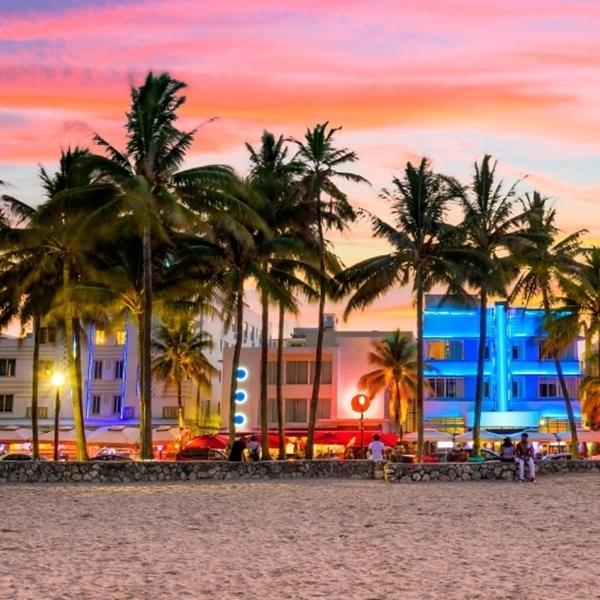 Palmeras en el atardecer en una playa de Miami