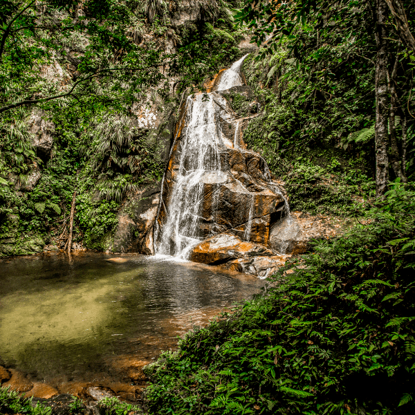 Caida de agua en la selva de tarapoto
