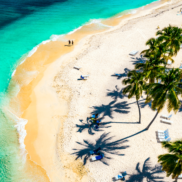 Una playa de Punta Cana y sus plameras