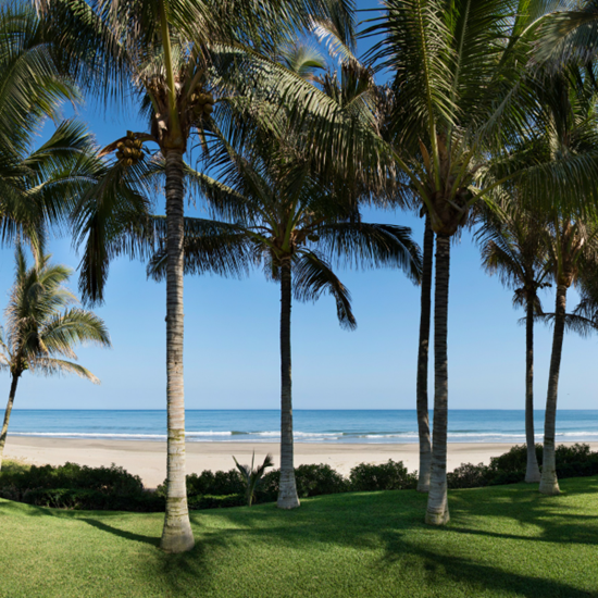 Palmeras en las playas de zorritos en tumbes