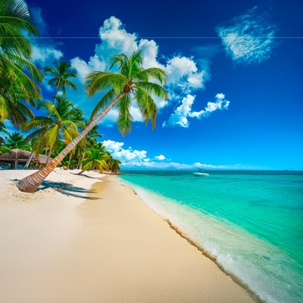PUNTA CANA