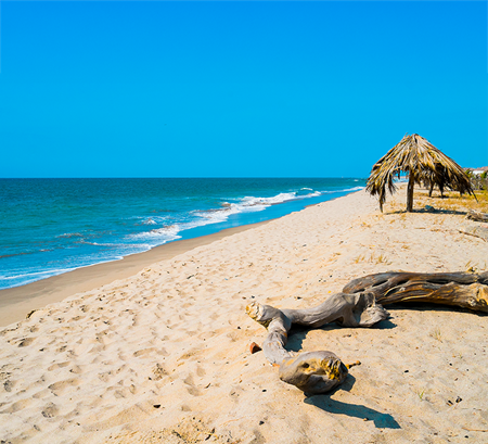 Hotel Casa Andina Select Zorritos con vista al mar y acceso directo a la playa, ideal para unas vacaciones en el norte del Perú con vuelos y traslados incluidos.