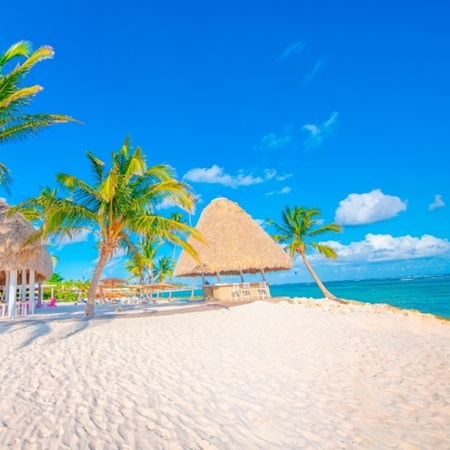 After Office Punta Cana