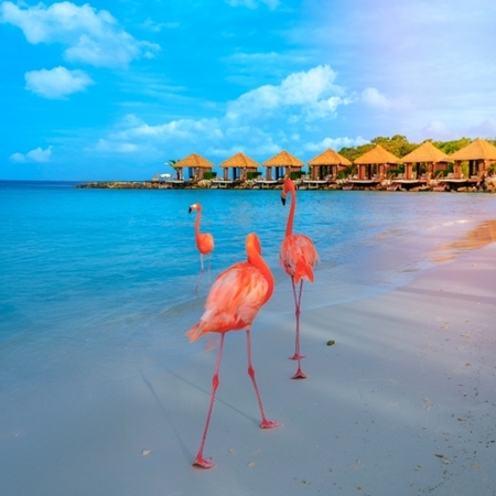 After Office Aruba