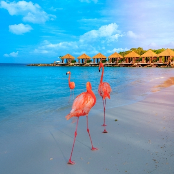 After Office Aruba