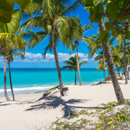Aruba