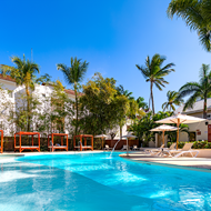 Picture of Punta Cana Fiestas Patrias