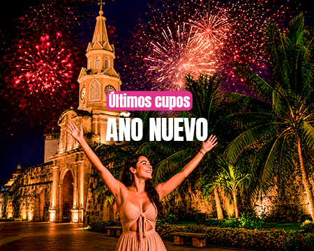 Imagen para la categoría Año Nuevo