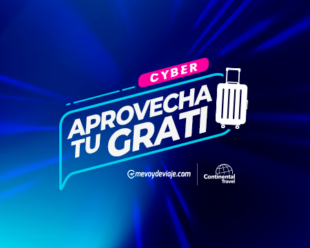 Imagen para la categoría Cyber