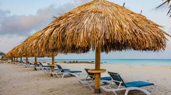 Imagen de Aruba - Embassy Suites By Hilton
