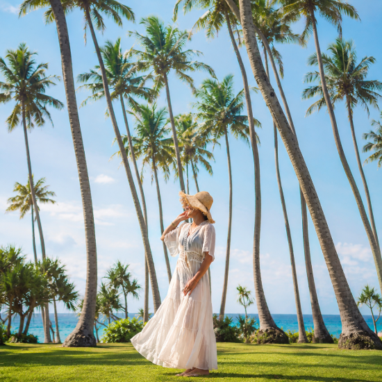Palmeras en el Caribe.