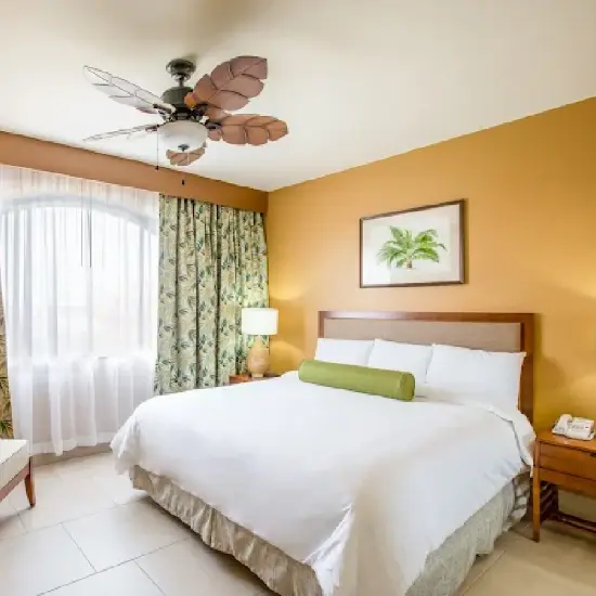 Habitación Aruba Eagle Aruba Resort