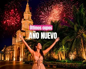 Imagen para la categoría Año Nuevo