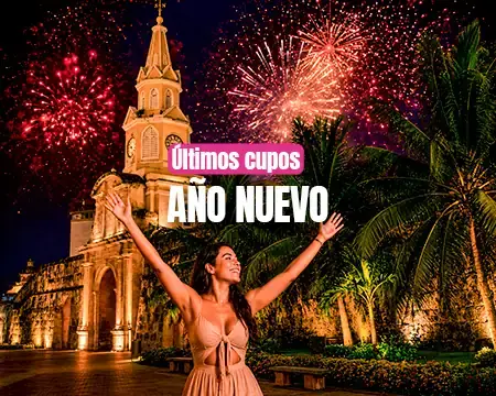 Imagen para la categoría Año Nuevo