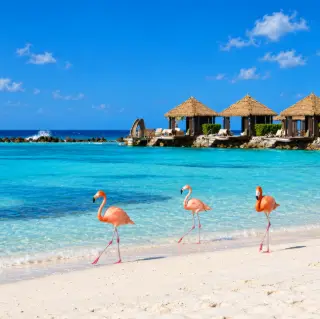 Amigos en Aruba