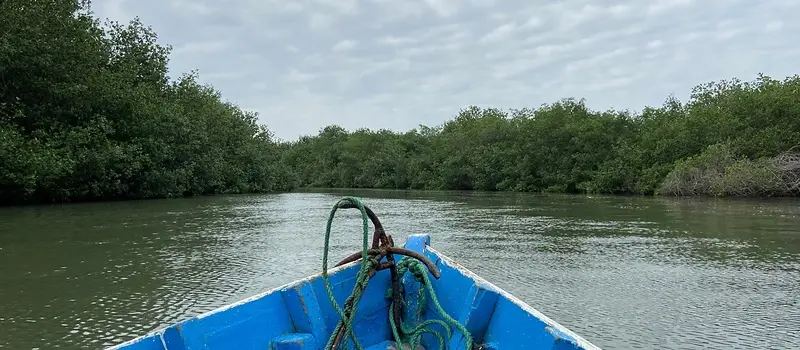 Paseo en bote por Manglares de Tumbes